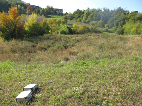 Indagini sismiche a Monteviale (VI)